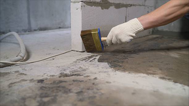 SJ Waterproofing Pros Waterproofing coverage map for Camp Hill, AL and surrounding area